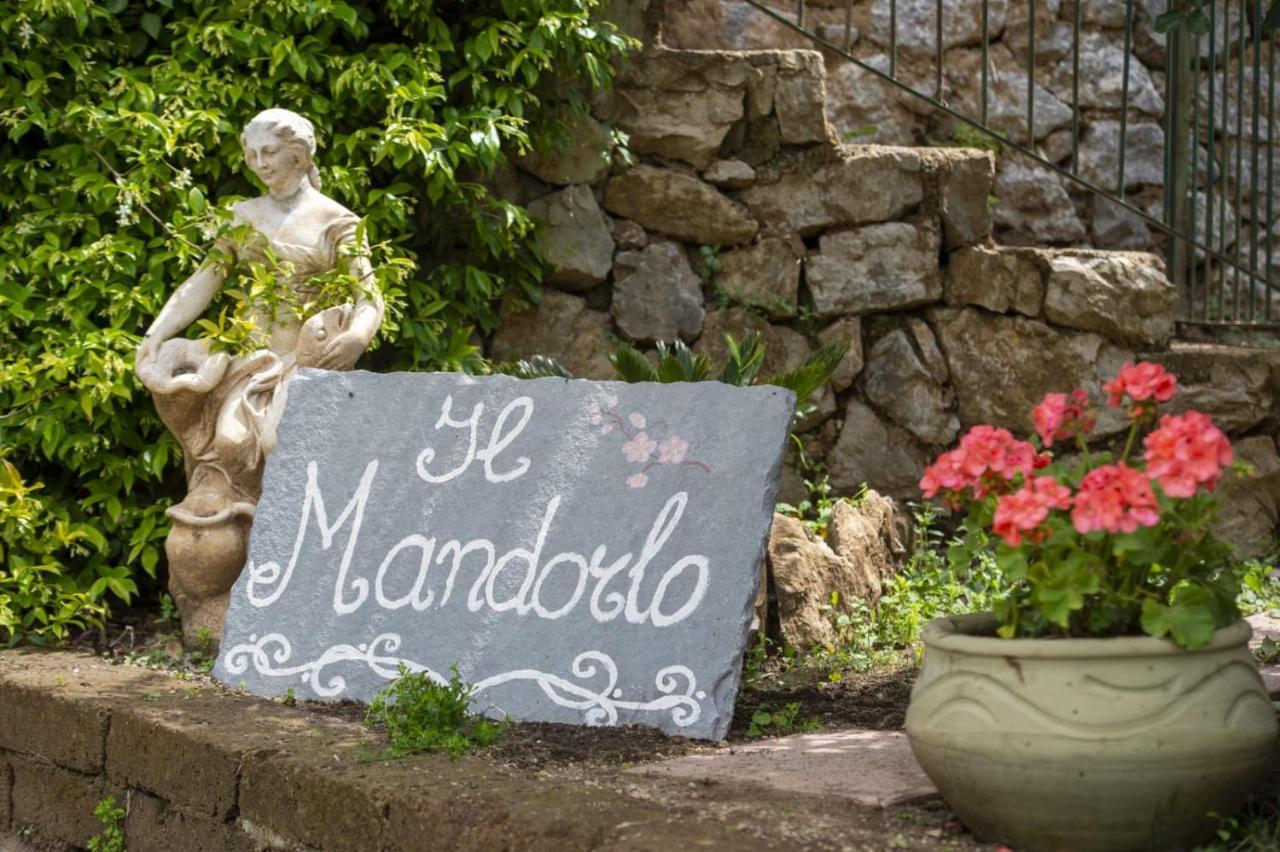 Il Mandorlo Bed & Breakfast ตรามอนติ ภายนอก รูปภาพ
