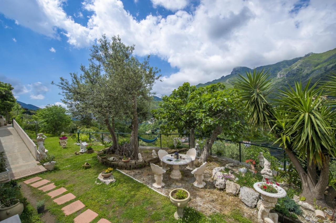 Il Mandorlo Bed & Breakfast ตรามอนติ ภายนอก รูปภาพ